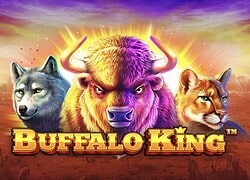 Buffalo King Casino Slot